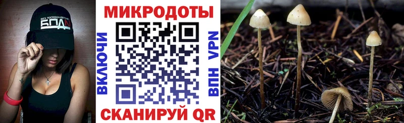 OMG сайт  Берёзовский  Галлюциногенные грибы GOLDEN TEACHER 
