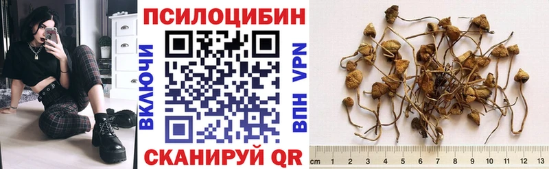 Псилоцибиновые грибы Magic Shrooms Берёзовский
